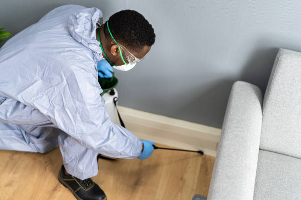 Best Bed Bug Extermination  in Hampton, SC